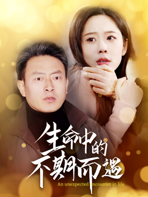 生命中的不期而遇（35集）看短剧放松一下