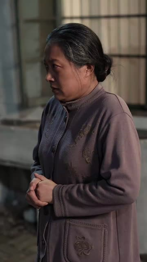 细雨春晖报母恩（30集）排行榜前十的短剧