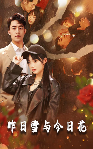 昨日雪与今日花（81集）精彩的网络短剧