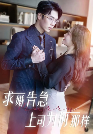 求婚告急上司为何那样（70集）排行榜前十短剧免费看