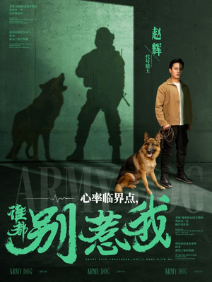 心率临界点谁都别惹我（96集）悟空短剧免费看全集
