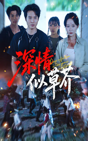 深情似草芥（51集）精彩短剧剧情不容错过