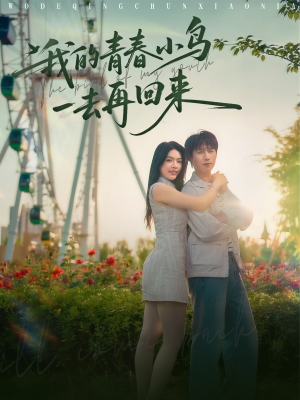 我的青春小鸟一去再回来（95集）免费短剧看不停