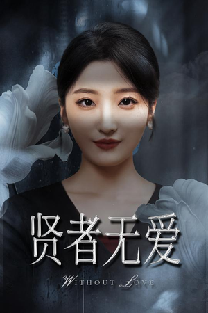 贤者无爱（42集）超火热门短剧抢先看