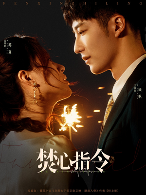 焚心指令（80集）全部免费观看全集