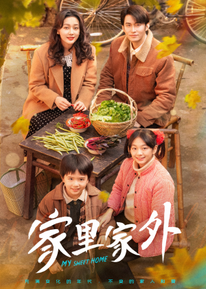 家里家外（79集）让你看了就停不下来的精彩短剧