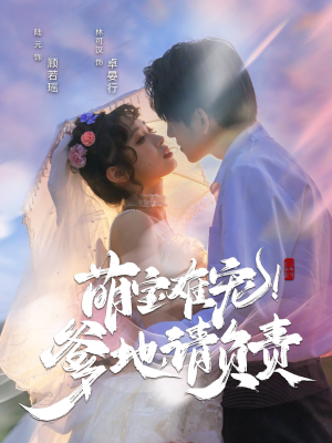 萌宝难宠爹地请负责（80集）最新短剧抢先看全集