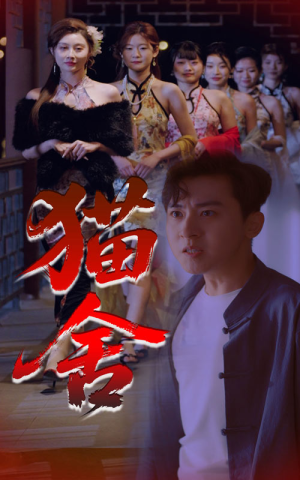 猫舍（34集）短剧来了抢先观看