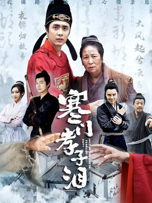 寒门孝子泪（31集）热播短剧抢先看