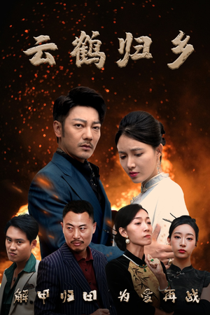 云鹤归乡（65集）全集短剧免费在线观看