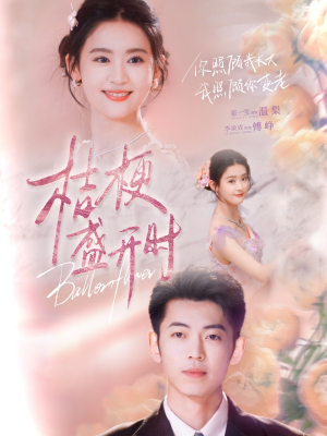 她的小桔梗（92集）万里归乡短剧精彩剧情