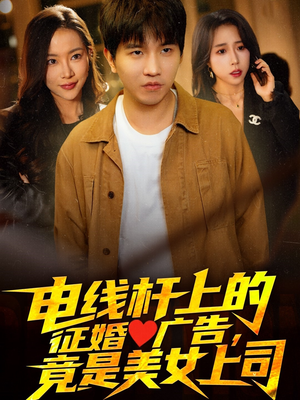 电线杆上的征婚广告，竟是美女上司（90集）短剧大结局完整版免费看
