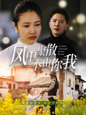 风中聚散不由你我（41集）西瓜视频免费看短剧