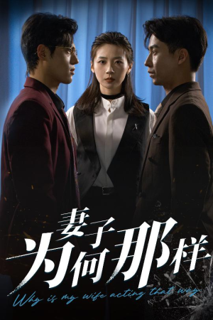 妻子为何那样（60集）热门短剧每天更新