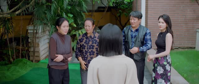 纵他入局（24集）全部免费观看全集