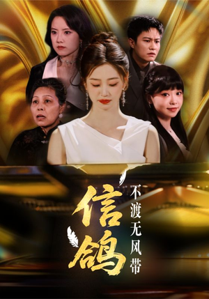 信鸽不渡无风带（65集）最新热门短剧抢先看