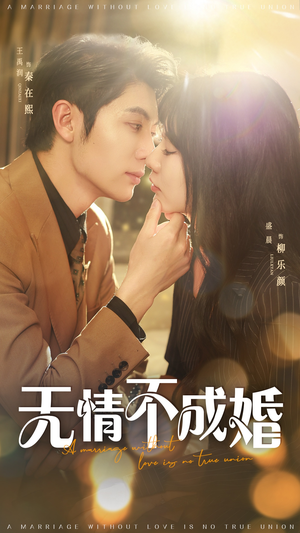 无情不成婚（70集）免费看短剧大结局