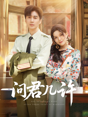 问君几许（91集）最新上映短剧免费看