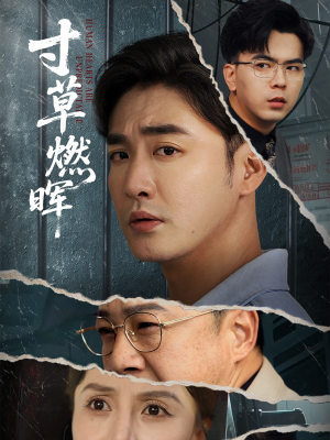 寸草燃晖（70集）又一部超火短剧抢先看