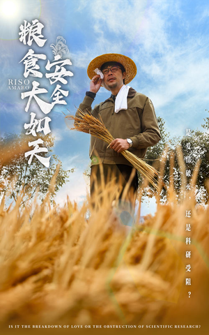 粮食安全大如天（43集） 热播短剧排行榜