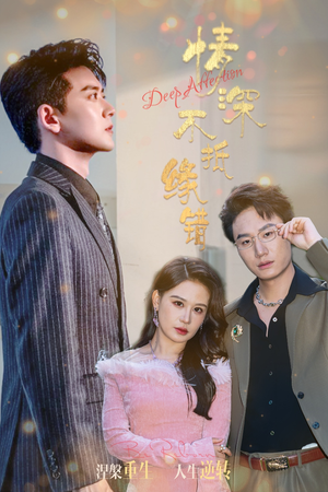 情深不抵缘错（60集）无需下载在线短剧免费看
