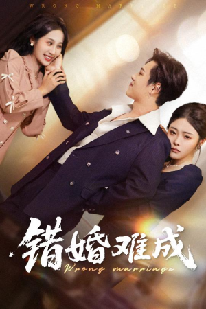 错婚难成（45集）超好看短剧抢先看
