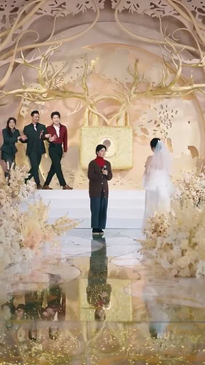 中年心事浓如酒（54集）我全都看完了的经典短剧回顾