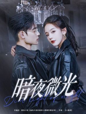 暗夜微光（86集）在线观影短剧全集免费看