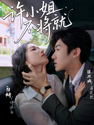 许小姐不将就（60集）男频热门短剧片段