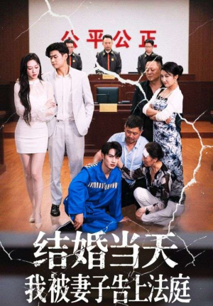 结婚当天我被妻子告上法庭（30集）好看的短剧分享给大家