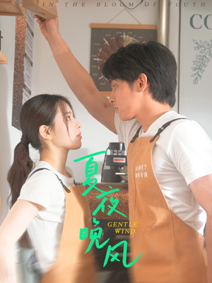 夏夜晚风（12集）短剧追到爽全集完整版