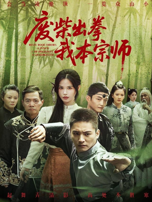 废柴出拳我本宗师（61集）熬夜必追完的热门短剧