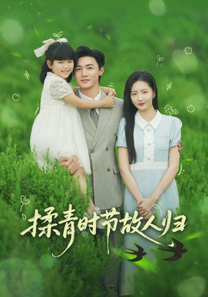 揉青时节故人归（60集）热播短剧全集看