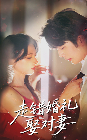 走错婚礼娶对妻（60集）火爆短剧来袭好看又上头的短